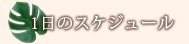1日のスケジュール