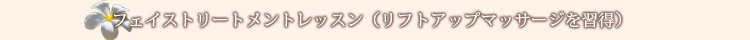 フェイストリートメントレッスン