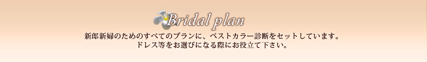 ブライダルプラン